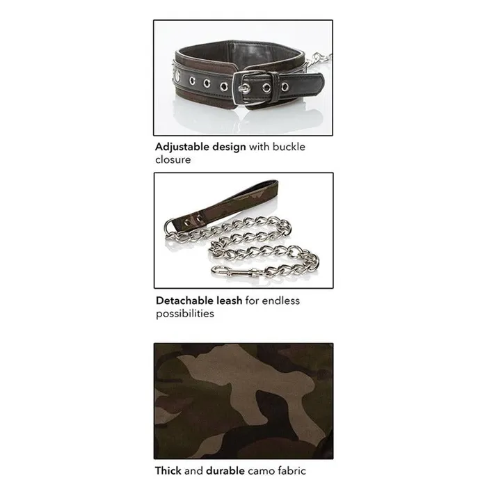 COLT Collar & Leash | California Exotic Vibrators COLT Collar & Leash | California Exotic Vibrators