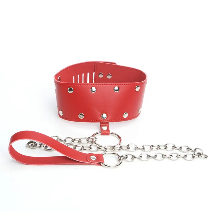 Love Toys Female Sex Toys Bound Collar Leash Packed In Sealed Foil Bags