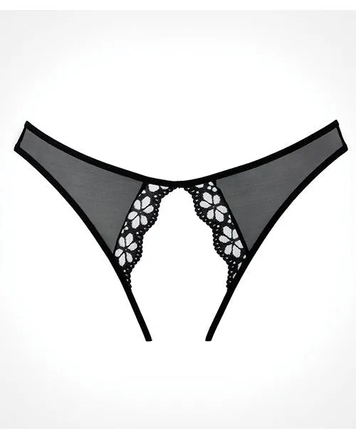 Anal | Allure Lingerie Lp Adore Mirabelle Plum Panty Black O/s