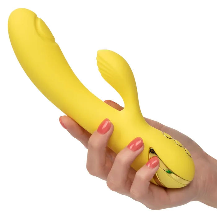 California Dreaming San Diego Seduction | CalExotics Vibrators