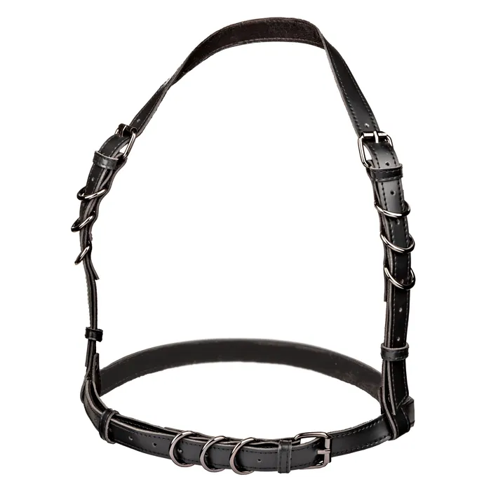 Euphoria Collection Plus Size Halter Buckle Harness Black CalExotics Plus Size