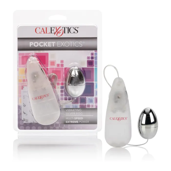 Female Sex Toys | CalExotics CalExotics Silver Vibrating Egg - Sensual Bliss
