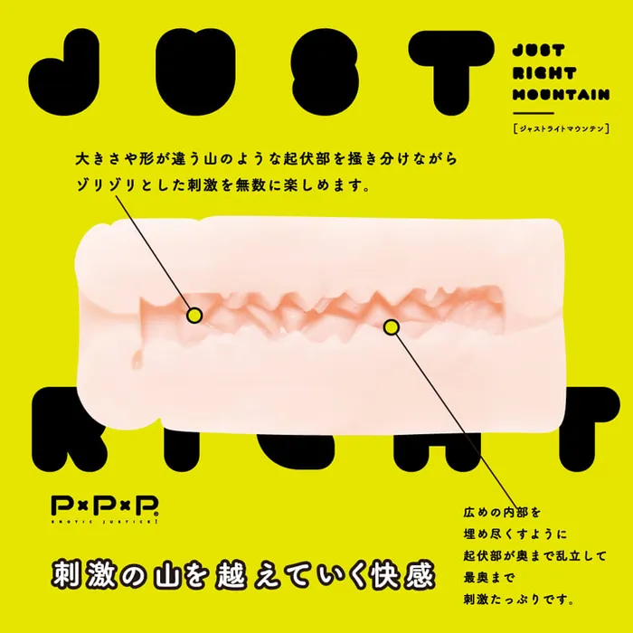 LUNA PARK LOVE Vibrators | JUST RIGHT MOUNTAIN Japan Version