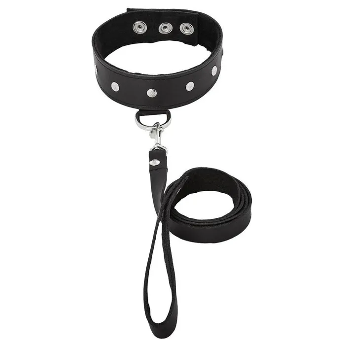 Restraints | Sport Sheets Premium Leather Leash & Collar