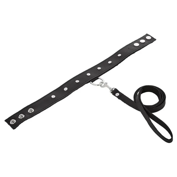 Restraints | Sport Sheets Premium Leather Leash & Collar