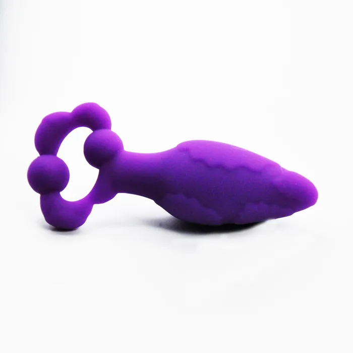 Anal Cloud 9 Cloud 9 Silicone Pro Plug Small Purple