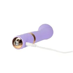 BMS Vibrators BMS Pillow Talk Sassy Deluxe Edition
