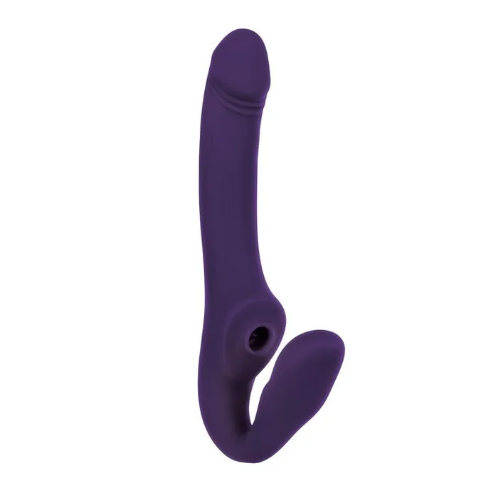 Evolved Evolved 2 BECOME 1 Vibrators Evolved Evolved 2 BECOME 1 Vibrators