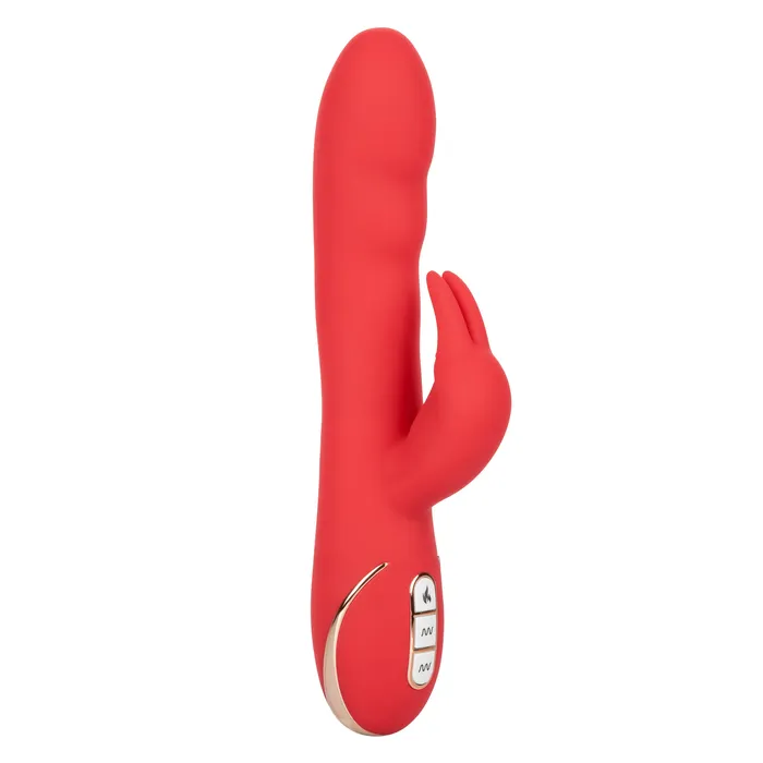 Female Sex Toys California Exotic Jack Rabbit Signature Heated Silicone UltraSoft Rabbit Female Sex Toys California Exotic Jack Rabbit Signature Heated Silicone UltraSoft Rabbit