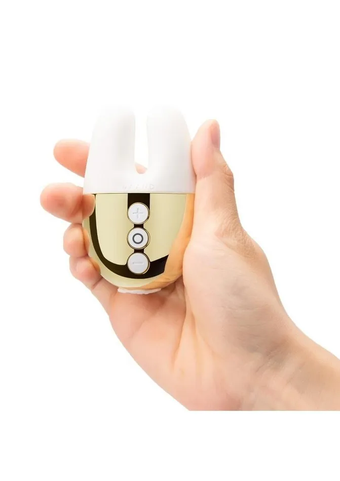 Le Wand Double Vibe Rechargeable Silicone Rabbit Vibrator Le Wand Female Sex Toys Le Wand Double Vibe Rechargeable Silicone Rabbit Vibrator Le Wand Female Sex Toys