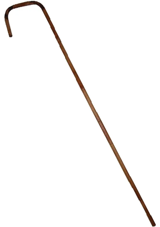 Rouge Vibrators Rouge Bamboo Cane