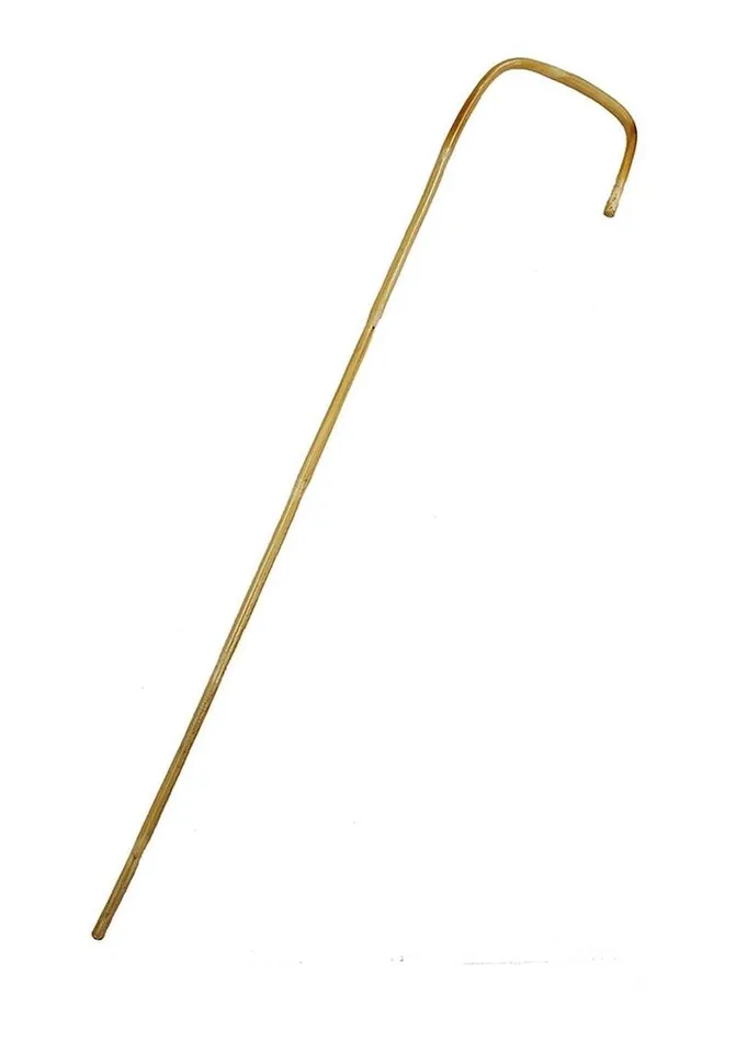 Rouge Vibrators Rouge Bamboo Cane Rouge Vibrators Rouge Bamboo Cane