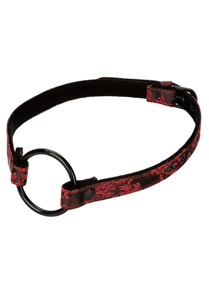 Scandal Vibrators Scandal Wide Open Mouth Gag