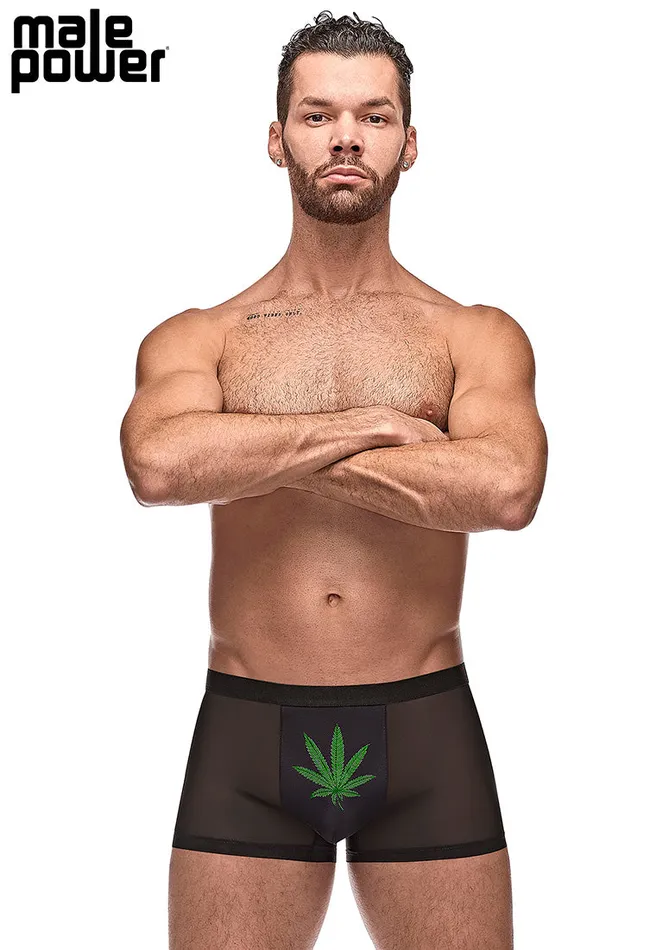 Anal Private Screening Pot Leaf Pouch Short Black Male Power