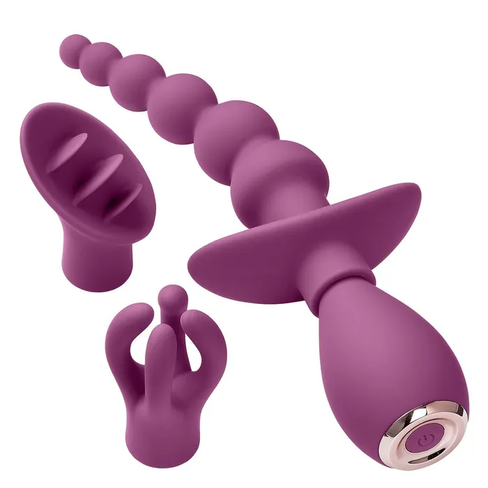 Cloud 9 Novelties Anal Cloud 9 Health and Wellness Anal Clitoral and Nipple Massager Kit Purple