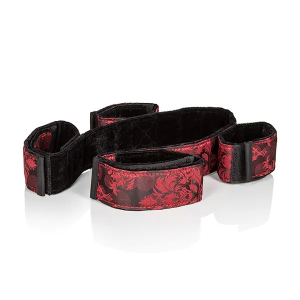 Couples California Exotic Novelties Scandal Bondage Bar