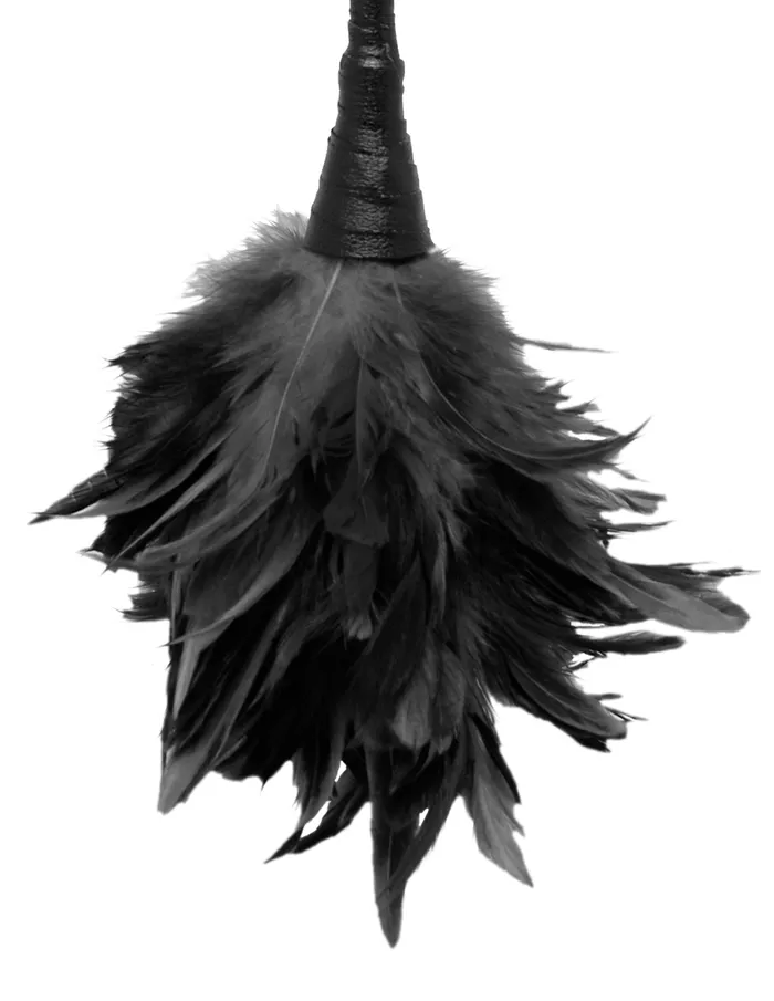 Fetish Fantasy Frisky Feather Duster Black Pipedream Products Anal
