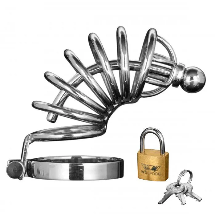 Master Series Master Series Asylum 6 Ring Locking Chastity Cage Male Sex Toys Master Series Master Series Asylum 6 Ring Locking Chastity Cage Male Sex Toys