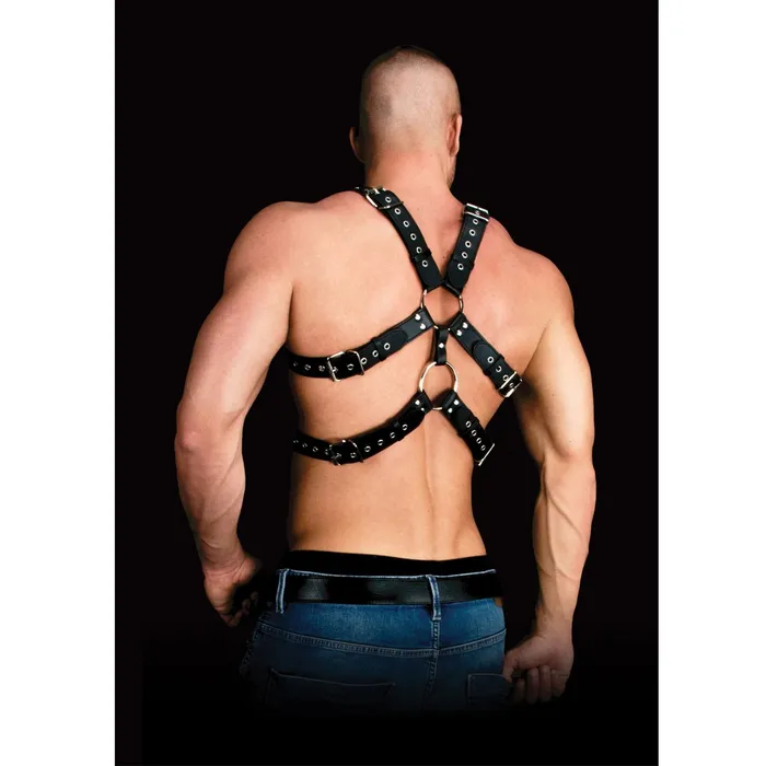 Adams Toy Box Dildos Shots Ouch Andreas Masculine Masterpiece Body Harness