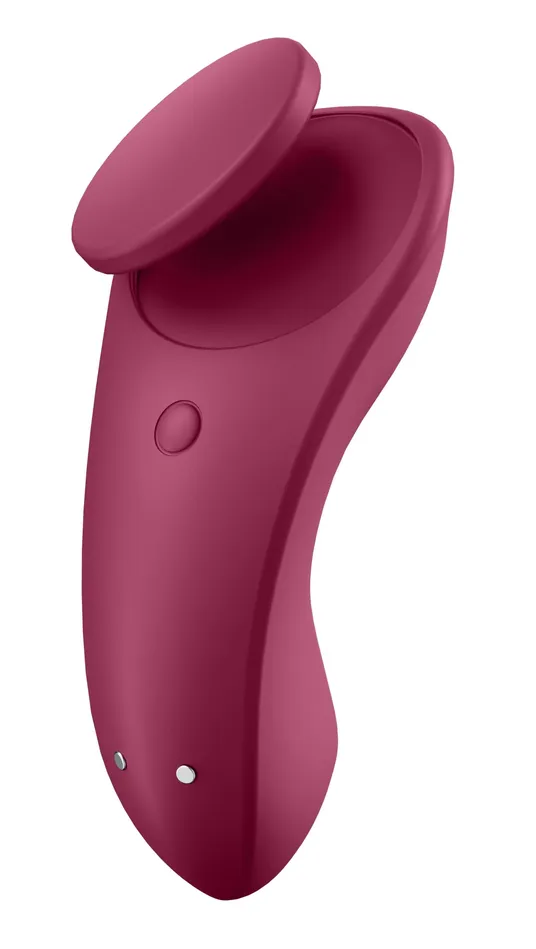 Partner Box 1 Sexy Secret Double Joy Violet Satisfyer Dildos Partner Box 1 Sexy Secret Double Joy Violet Satisfyer Dildos